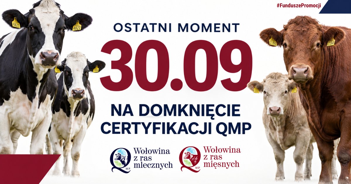 Baner informujący z&nbsp;terminem uzyskania certyfikatu QMP (30 września 2026 r.)