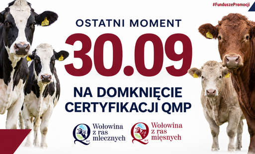 Baner informujący z terminem uzyskania certyfikatu QMP (30 września 2026 r.)