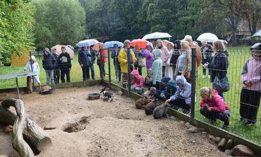 Uczestnicy odwiedzili również Mini-ZOO w Krainie Puszczyka. 