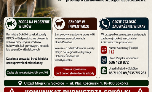 Komunikat Gminy Sokółka dotyczący występowania wilków oraz zasad postępowania i zgłaszania ich obecności.