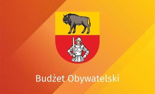 Grafika Budżet Obywatelski