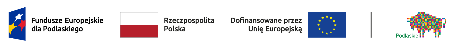 Baner Dofinansowano przez Unię Europejską (bez tła)