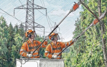 PGE Dystrybucja zaprasza do przetargów na oczyszczanie tras linii energetycznych z zadrzewienia.