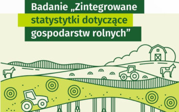 Badania statystyczne Głównego Urzędu Statystycznego