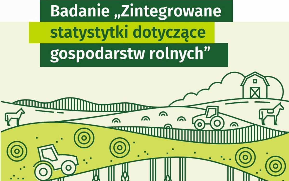 Badanie ankietowe GUS